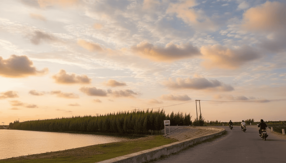 Đường đến Cồn V&agrave;nh